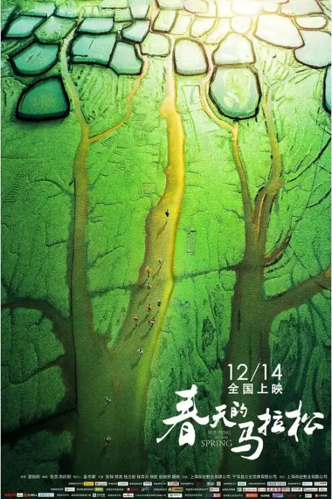 《春天的马拉松》封面