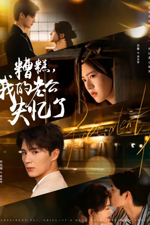 《糟糕我的老公失忆了》封面