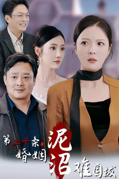 《第二十条之婚姻沼泽难自拔》封面