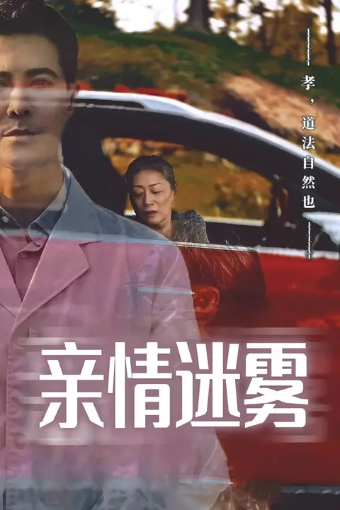 《亲情迷雾》封面