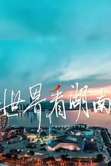 《世界看湖南》封面