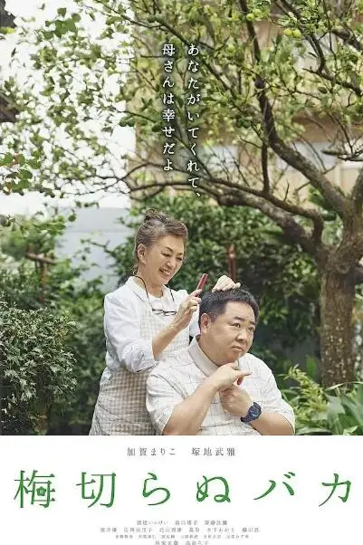 《不砍梅树的傻瓜》封面