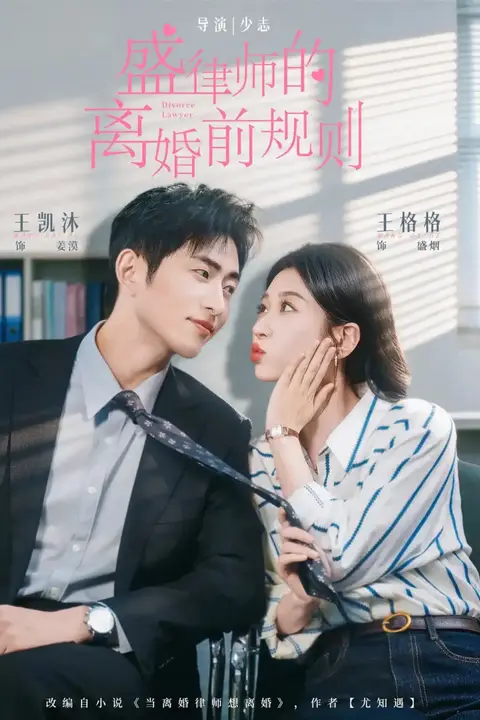 《盛律师的离婚前规则》封面
