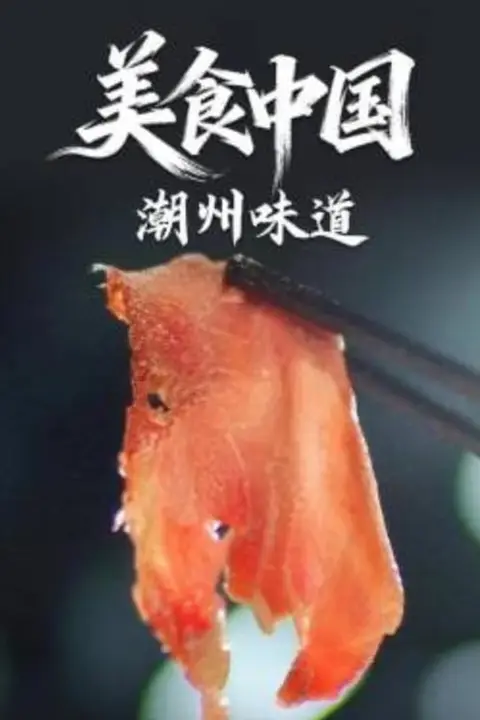 《美食中国·潮州味道》封面
