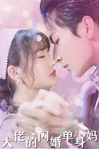《大佬的闪婚单身妈》封面