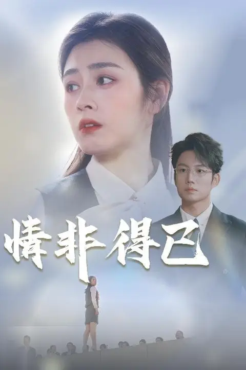 《情非得已》封面
