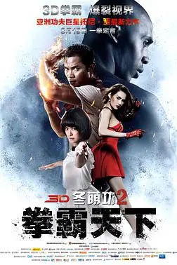 《冬荫功2:拳霸天下(原声版)》封面