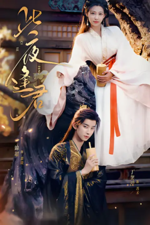 《此夜逢君》封面