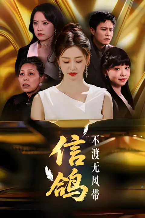 《信鸽不渡无风带》封面