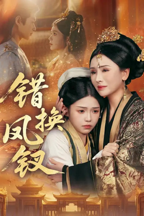 《错换凤钗（金银错）》封面