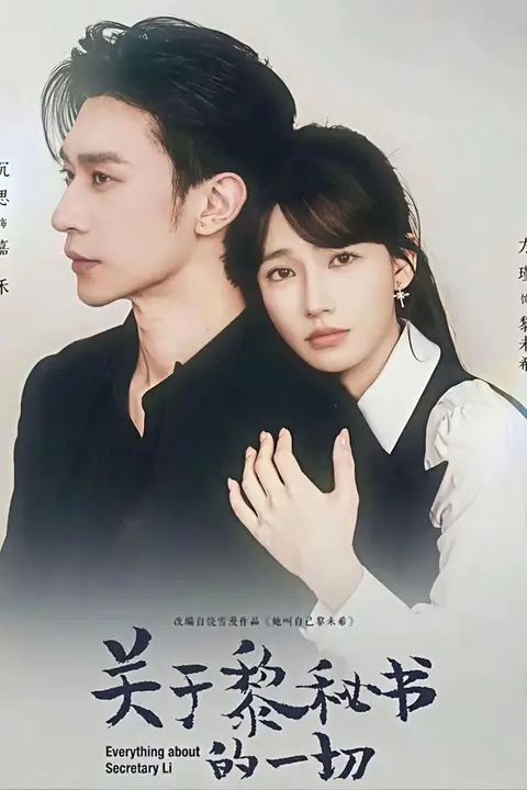 《关于黎秘书的一切》封面