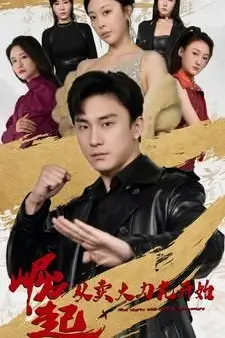 《崛起从卖大力丸开始》封面