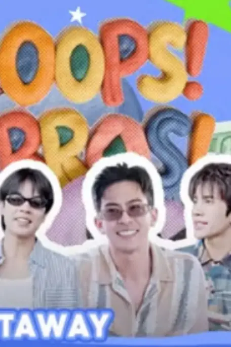 《OOPS！BROS！》封面