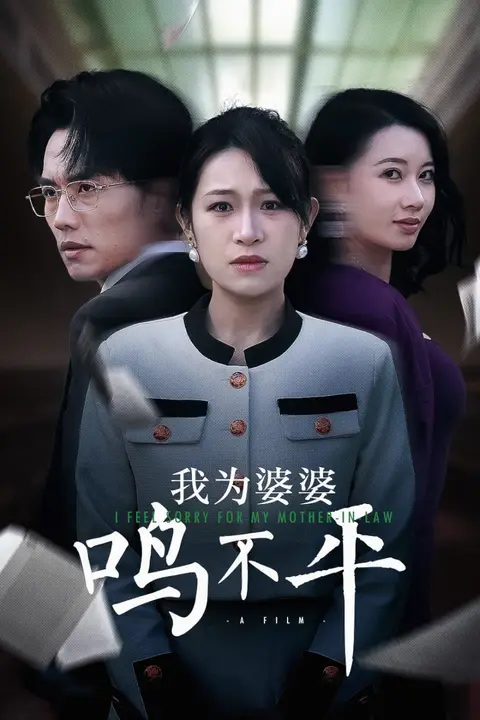 《正义较量（我为婆婆鸣不平）》封面