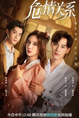 《危情关系》封面