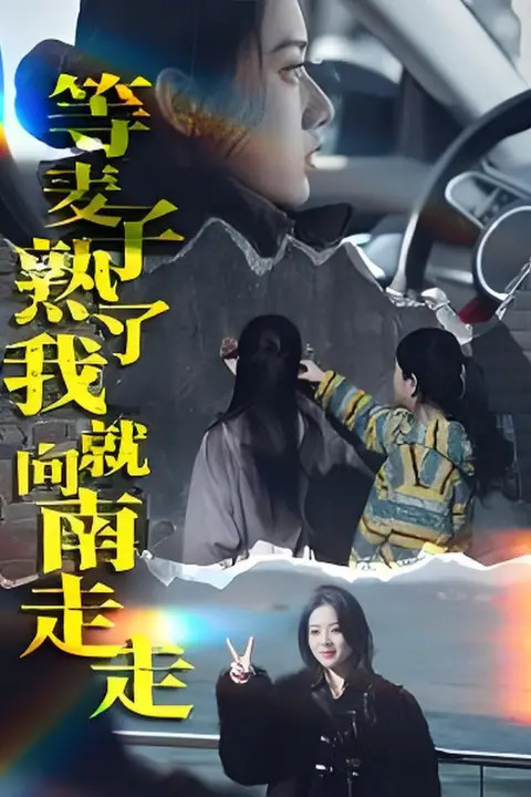 《等麦子熟了我就向南走走》封面
