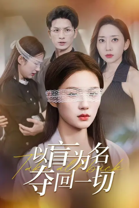《以盲为名夺回一切》封面