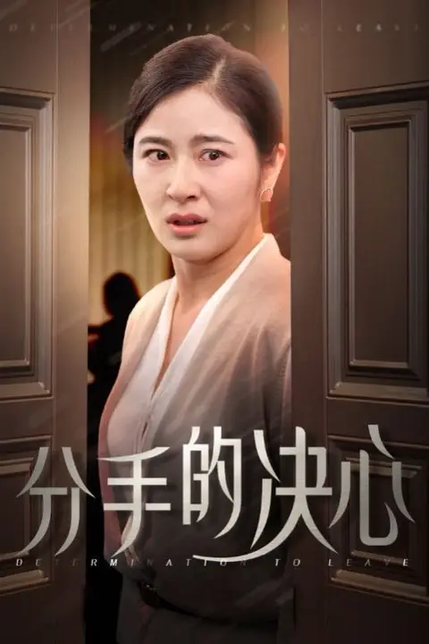 《分手的决心》封面