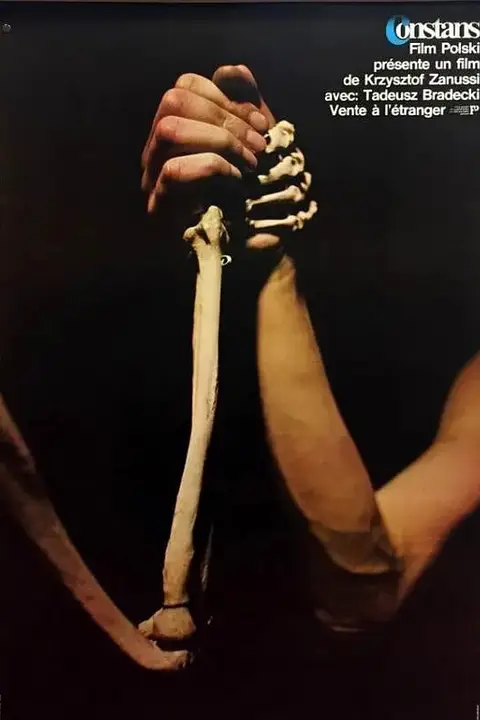 《山巅的呼唤》封面