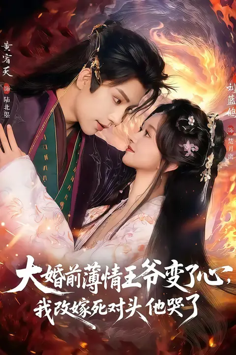 《揽风华 &amp; 大婚前薄情王爷变了心，我改嫁死对头他哭了》封面