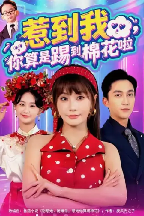 《惹到我，你算是踢到棉花啦》封面