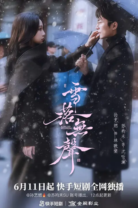 《雪落无声》封面