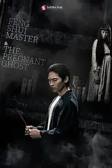 《风水大师与孕鬼》封面