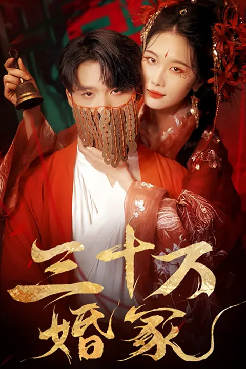 《三十万婚冢》封面