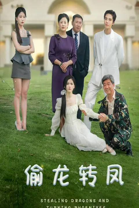 《偷龙转凤》封面