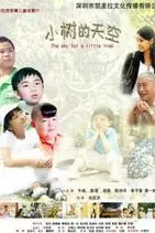 《小树的天空》封面