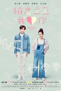 《稍息立正我爱你》封面
