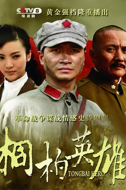 《桐柏英雄》封面