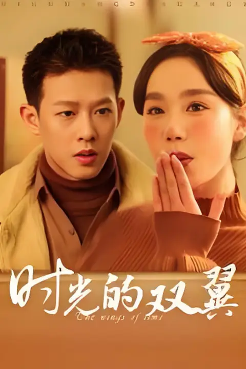 《时光的双翼》封面