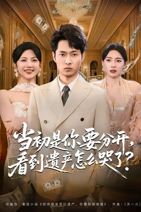 《当初是你要分开，看到遗产怎么哭了？》封面