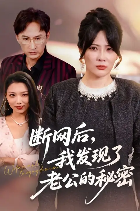 《断网后我发现了老公的秘密》封面