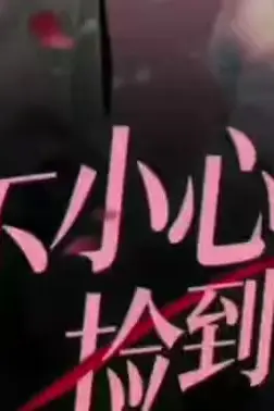 《一不小心捡到爱》封面
