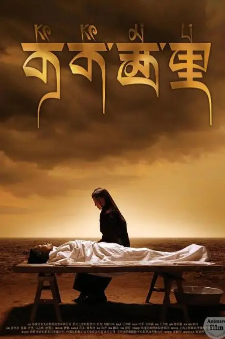 《可可西里》封面