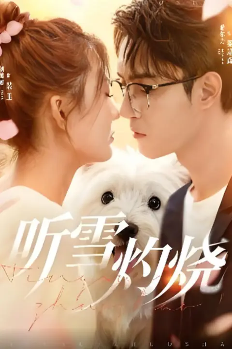 《听雪灼烧》封面