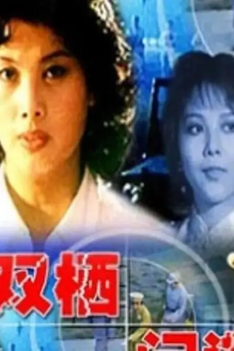 《双栖间谍》封面