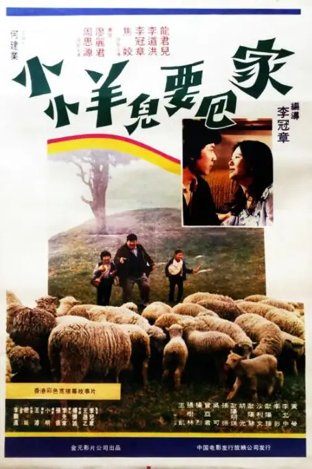 《小小羊儿要回家》封面
