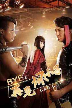《再见坏小子》封面