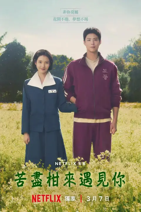 《苦尽柑来遇见你》封面
