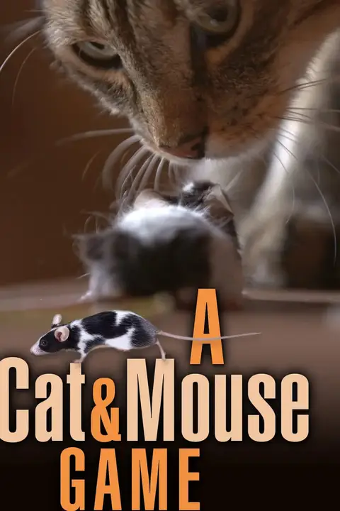 《猫鼠游戏 2019》封面