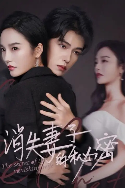 《消失妻子的秘密》封面