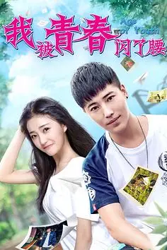 《我被青春闪了腰》封面