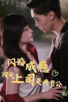 《闪婚成瘾顶头上司是我老公》封面
