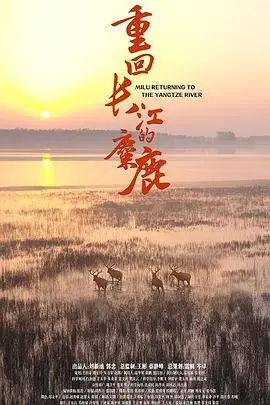 《重回长江的麋鹿》封面