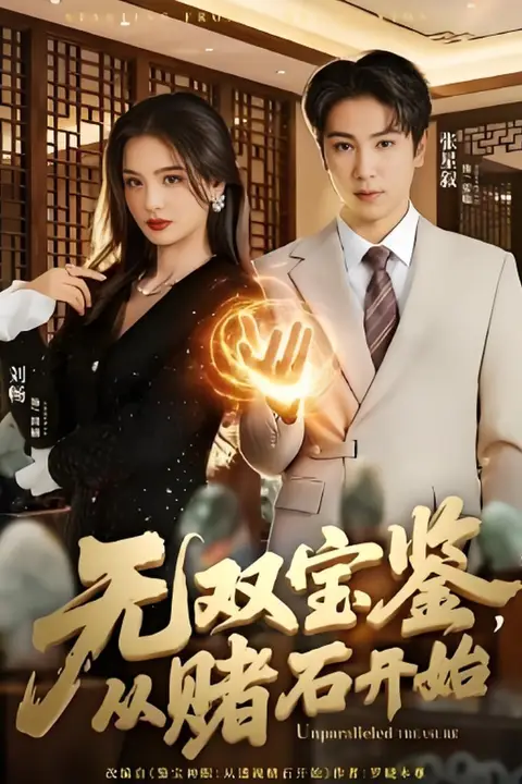 《无双宝鉴,从赌石开始》封面