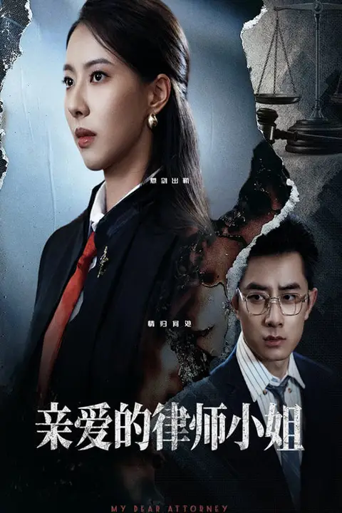 《亲爱的律师小姐》封面