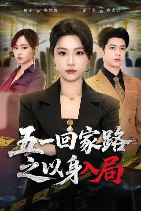 《五一回家路之以身入局》封面